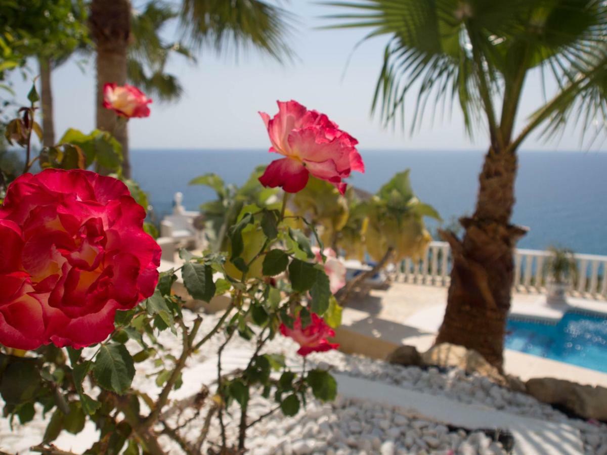 Frontline Villa, Five Star Deluxe El Campello Exteriér fotografie